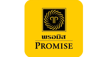 Promise Information logo